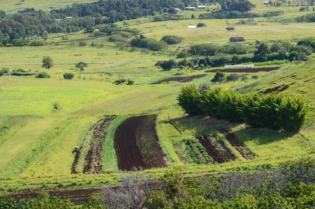 Trattore blu che semina un campo alla periferia di Hanga Roa Isola di Pasqua Cile