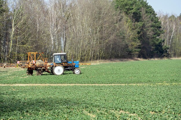 Trattore blu che spruzza pesticidi sul campo con macchine agricole irroratrici che lavorano nel campo I pesticidi chimici sono strumenti efficaci per la protezione del tappeto erboso e delle piante