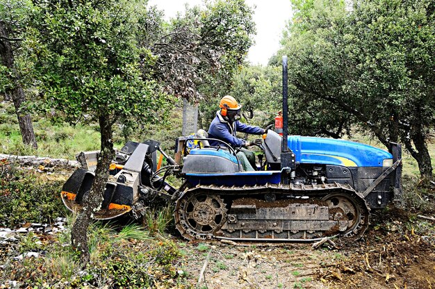 Trattore che fa lavori agricoli nel campo