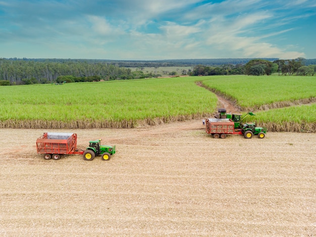 Trattore che fertilizza un campo agricolo