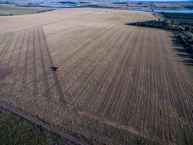 Trattore e seminatrice semina diretta nella pampa Argentina