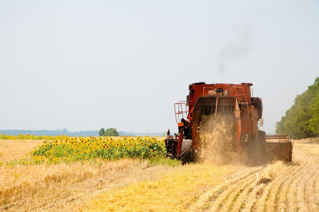 Trattore moderno in campo con complesso per l'aratura Il concetto di lavoro in un settore agricolo e dei campi