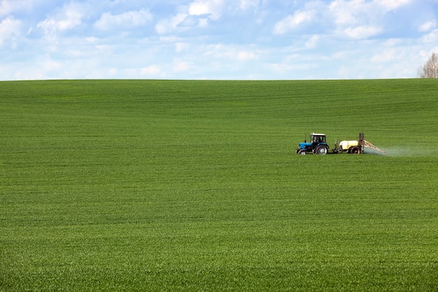 Trattore nel campo campo agricolo verde con cereali che vengono lavorati da un trattore