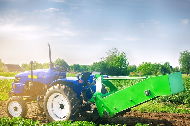 Trattore nel campo con un aratro per scavare le patate raccolta, lavoro stagionale, verdura fresca