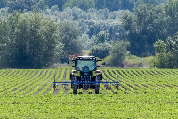 Trattore nel campo verde, macchina agricola