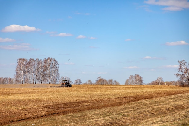 Trattore rosso con aratro trainato per la falciatura e la sarchiatura dei campi per l'agroindustria del giallo