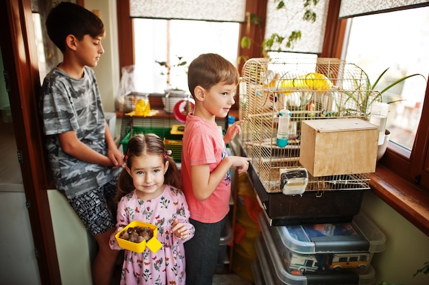 Tre bambini che tengono per mano i loro animali preferiti. Bambini che giocano con criceti, tartarughe e pappagalli a casa.