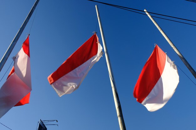 Tre bandiere rosse e bianche volano nel vento Bandiera indonesiana