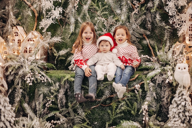 Tre belle ragazze posano per la telecamera in una bellissima decorazione natalizia con molti alberi sotto la neve sullo sfondo