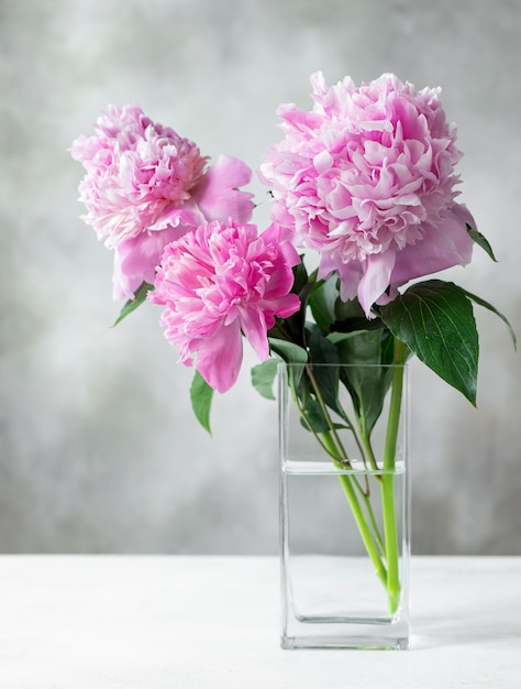 Tre bellissime peonie rosa in un vaso di vetro quadrato