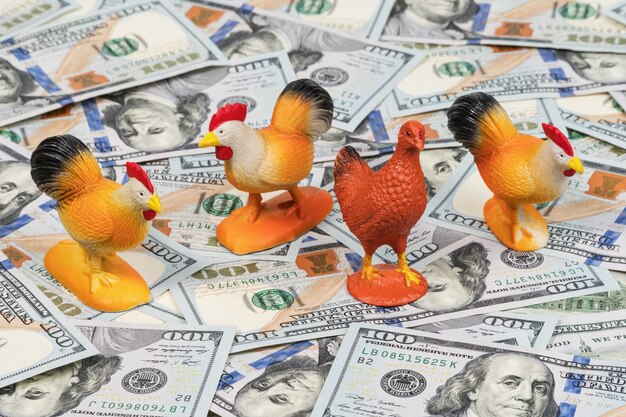 Tre cazzi e un pollo sulla superficie di banconote da cento dollari