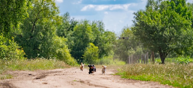 Tre cuccioli allegri corrono su una strada sterrata in un parco. I cani di piccola taglia si divertono all'aperto. Concetto di natura e animali.