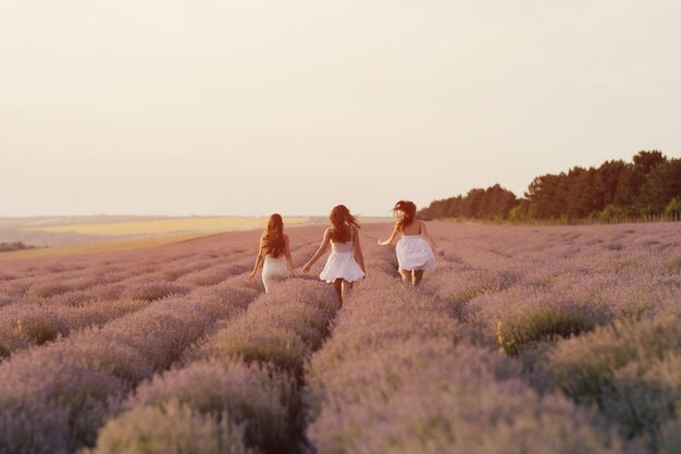 Tre donne che camminano in un campo di lavanda