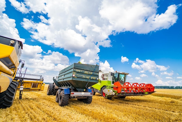 Tre elementi di macchine per la raccolta del grano Processo reale di raccolta del grano Cielo nuvoloso blu sopra