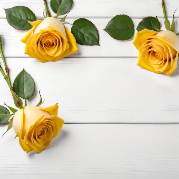 Tre fiori di rose gialle su uno sfondo di legno bianco Cartella di auguri romantica per il Giorno di San Valentino