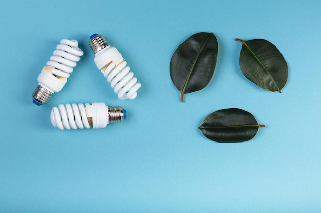 Tre foglie di ficus e tre lampade a risparmio energetico a forma di simbolo di riciclaggio Concetto di energia verde eco Isolato sulla didascalia blu per il testo