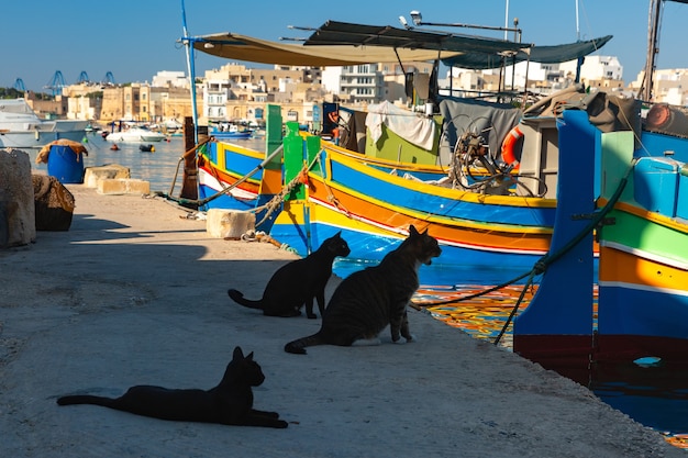 Tre gatti neri richiedono pesce. Barche colorate dagli occhi tradizionali Luzzu nel porto del paesino di pescatori mediterraneo Marsaxlokk, Malta