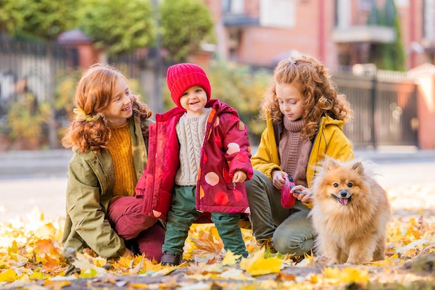 Tre ragazze, due sorelle maggiori e un bambino stanno camminando con un soffice cane Pomerania lungo la strada e guardando le foglie cadute in una soleggiata giornata autunnale