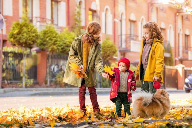 Tre ragazze, due sorelle maggiori e un bambino stanno camminando con un soffice cane Pomerania lungo la strada e guardando le foglie cadute in una soleggiata giornata autunnale