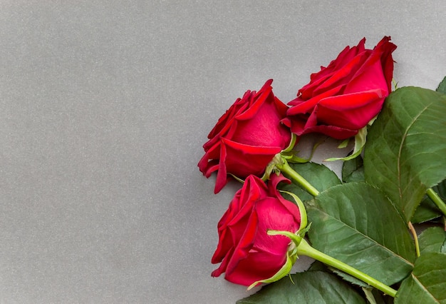 Tre rose rosse su sfondo grigio Vista dall'alto