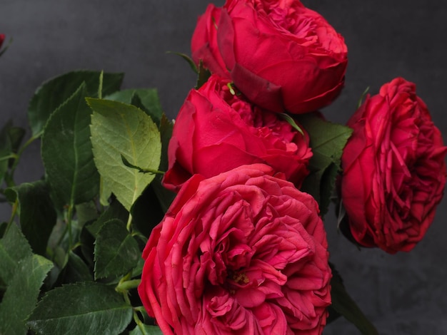 Tre rose rosse su uno sfondo scuro