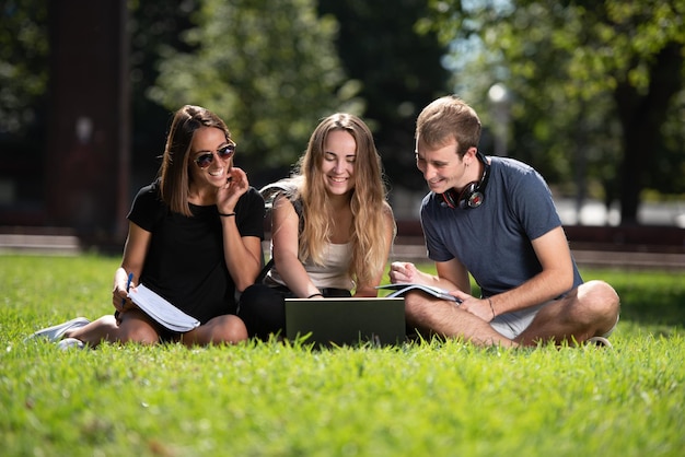 Tre studenti universitari che lavorano insieme su un laptop seduti per terra in un parco