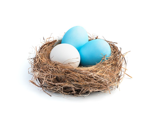 Tre uova di Pasqua bianche e blu in un nido isolato su sfondo bianco. Uova di Pasqua. Vista laterale, primo piano.