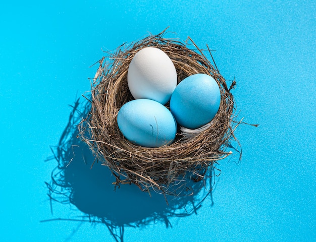 Tre uova di Pasqua in un nido con un'ombra dura su sfondo blu. Concetto di Pasqua, primo piano.