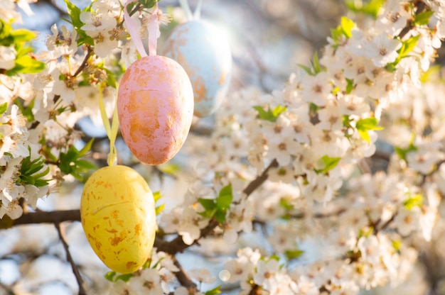 Tre uova di Pasqua multicolori pendono su un ramo di un ciliegio in fiore in un giardino primaverile