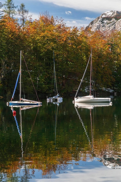 Tre yacht sul lago di Bohinj in Slovenia. Alpi e bosco autunnale