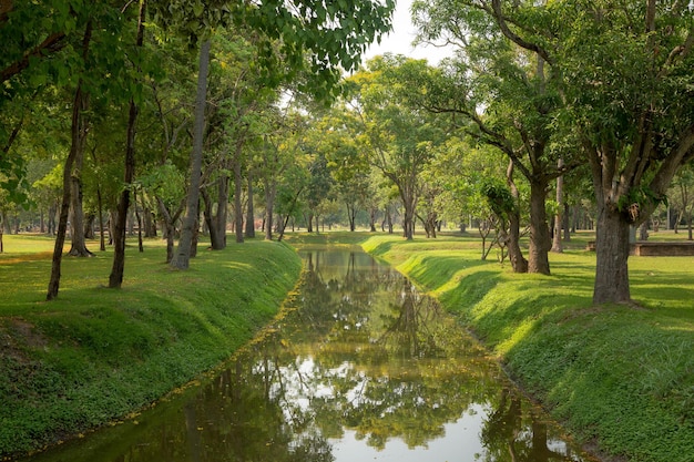 Tree Garden nel Parco storico di Sukhothai Provincia di Sukhothai Thailandia