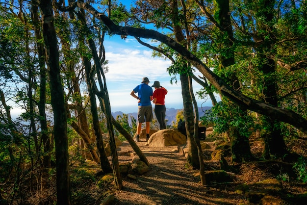 Trekkers che fanno un'escursione nella foresta della Tasmania, Australia.