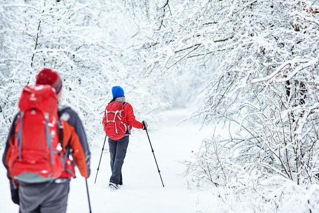 Trekkers lungo il sentiero per rifugiarsi nel Parco Naturale