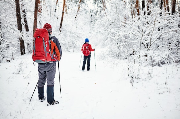 Trekkers lungo il sentiero per rifugiarsi nel Parco Naturale