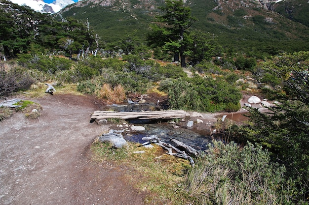 Trekking al Fitz Roy, El Chalten, Patagonia, Argentina