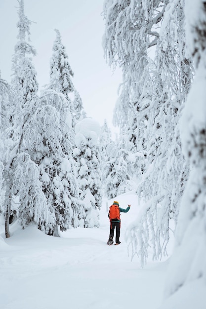 Trekking donna attraverso la neve in Lapponia, Finlandia