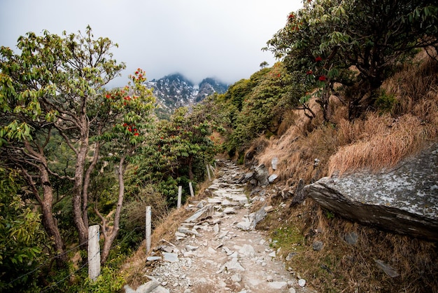 Trekking in montagna nel percorso del sentiero dell'Himalaya