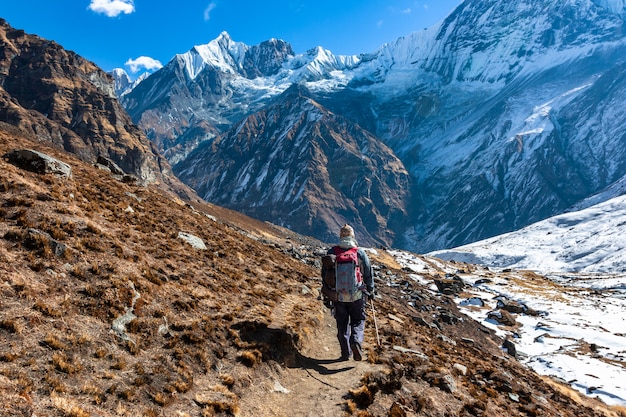 Trekking in Nepal Himalaya