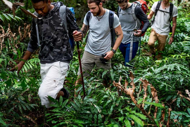 Trekking in una foresta