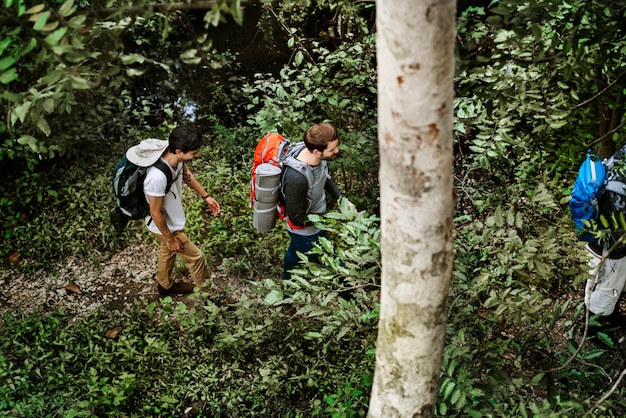 Trekking in una foresta