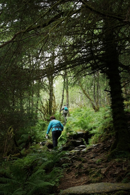 trekking nella foresta su per la montagna