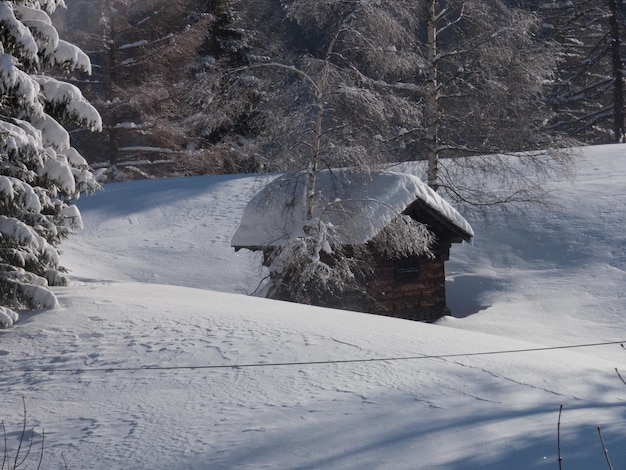 Trelechampchamonixhaute savoiefrance