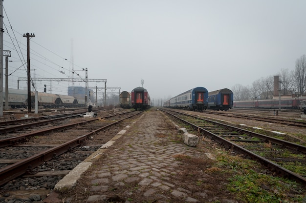 Treni in attesa in una stazione ferroviaria. Una giornata nebbiosa