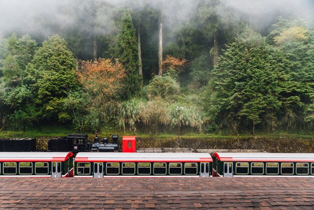 Treni rossi nella stazione ferroviaria di Alishan Forest sulla piattaforma della stazione ferroviaria di Zhaoping