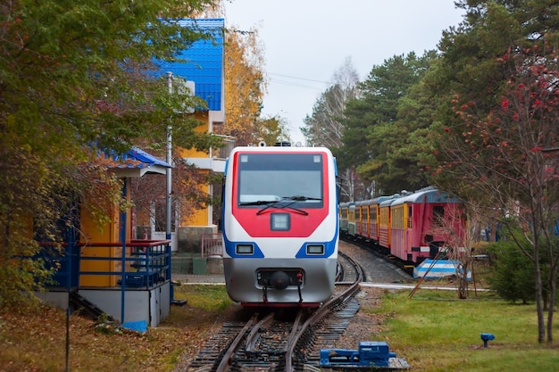 Trenino a scartamento ridotto nel parco autunnale