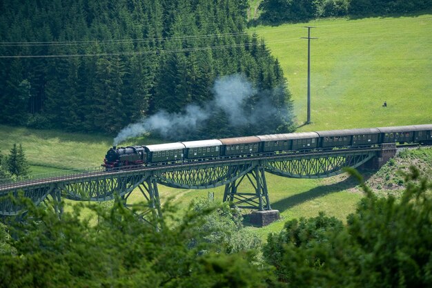 Treno a vapore sul ponte ferroviario vicino a epfenhofen blackforest