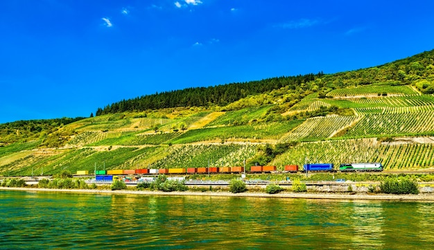 Treno del container sul fiume Reno nella gola del Reno in Germania