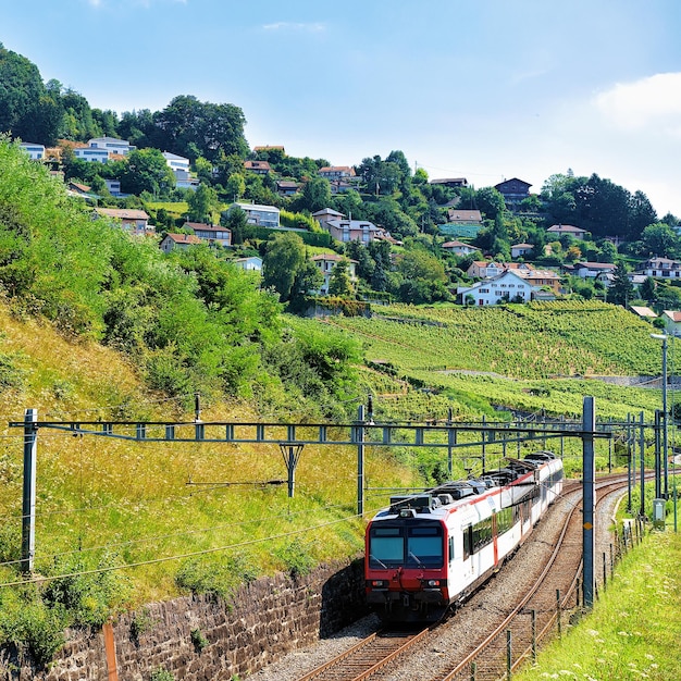 Treno in corsa al sentiero escursionistico Lavaux Vineyard Terrace, distretto di Lavaux-Oron, Svizzera