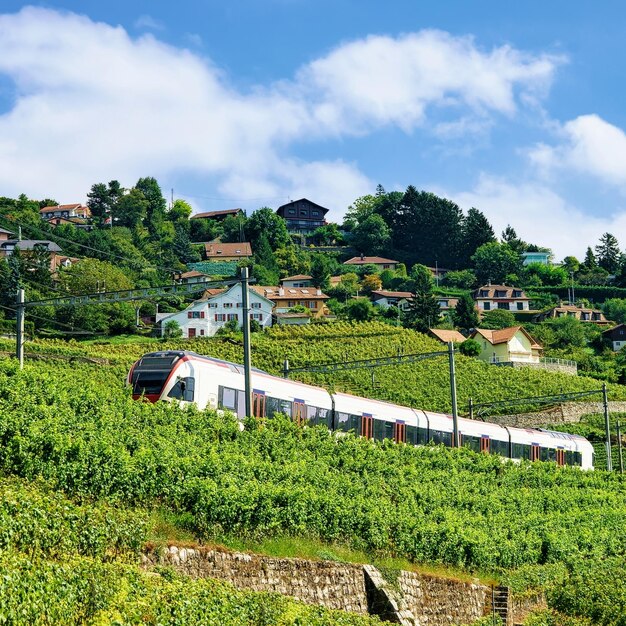 Treno in corsa alla ferrovia sul sentiero escursionistico Lavaux Vineyard Terrace, distretto di Lavaux-Oron, Svizzera