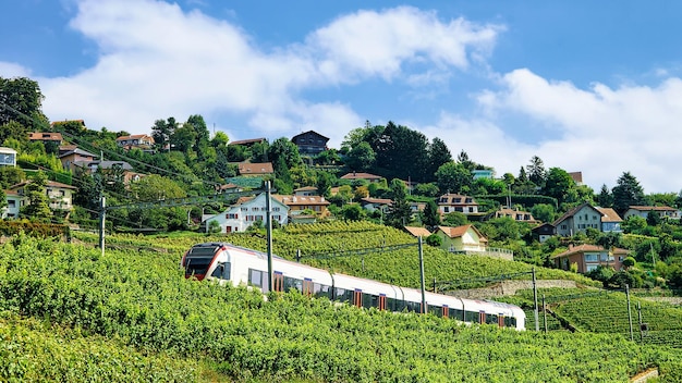 Treno in corsa presso la ferrovia vicino al sentiero escursionistico Lavaux Vineyard Terrace, distretto di Lavaux-Oron, Svizzera